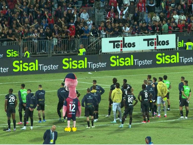 Bring This Tradition To America: An Italian Soccer Team's Giant Flamingo Mascot Joined The Players To Get Scolded By Fans After Losing 4-0