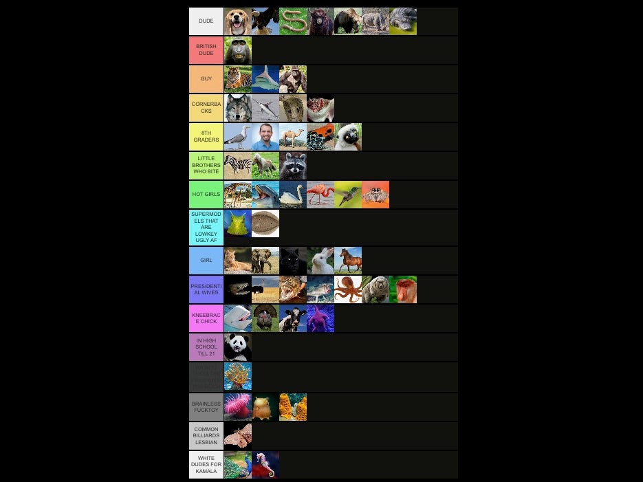 Behold: The Most Correct Animal Tier List The World Has Ever Seen (According To The Yak)